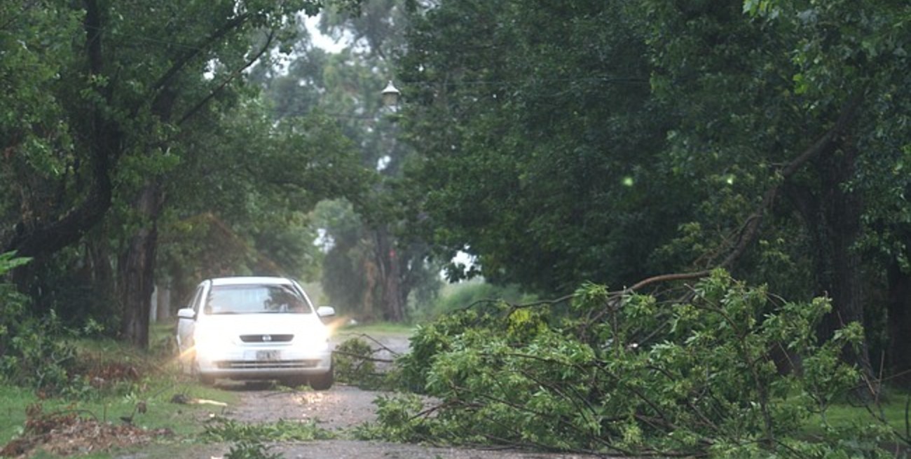 Un fuerte temporal azotó a nuestra región