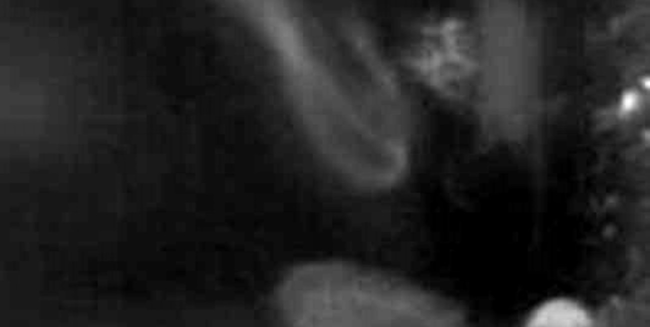 Los comentarios de nuestros lectores en torno a la nota sobre el fantasma en el celular