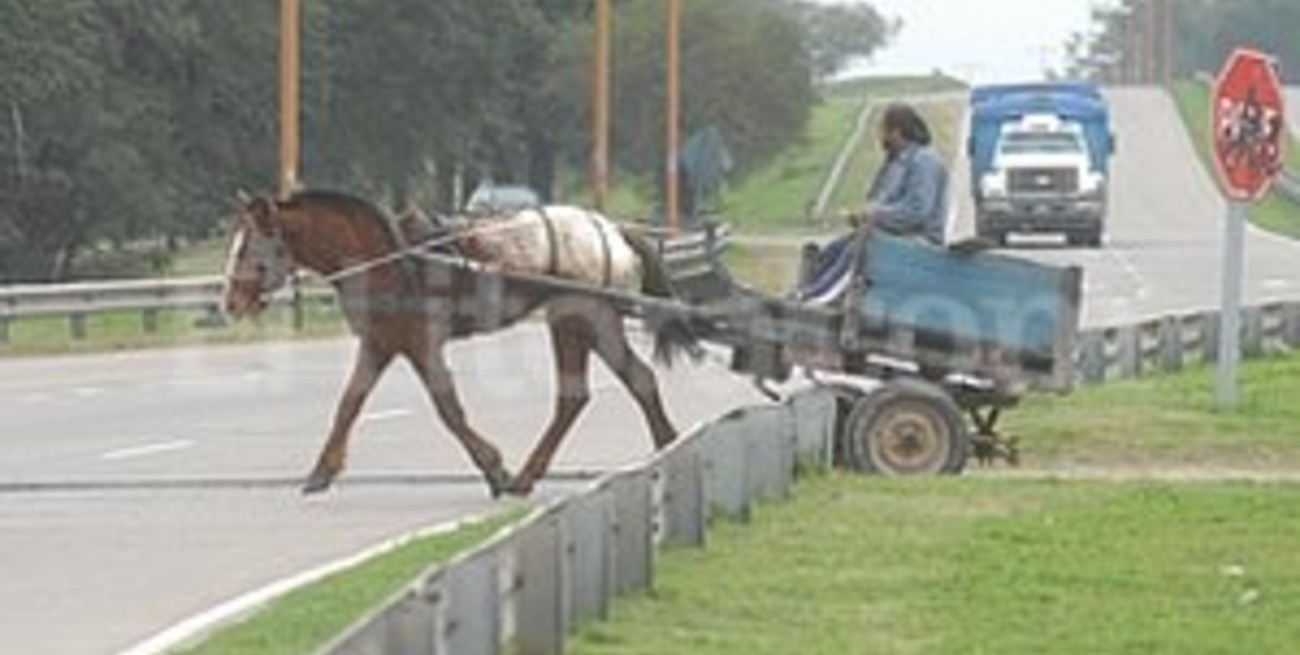 Mar Argentino, un cruce obligado y riesgoso para Varadero Sarsotti