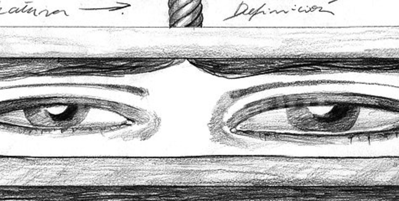 Preguntas sobre la chatura