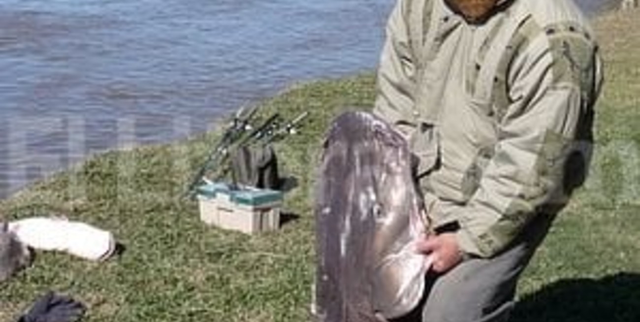 Atraparon un surubí de más de 60 kilogramos en Puerto Piracuacito
