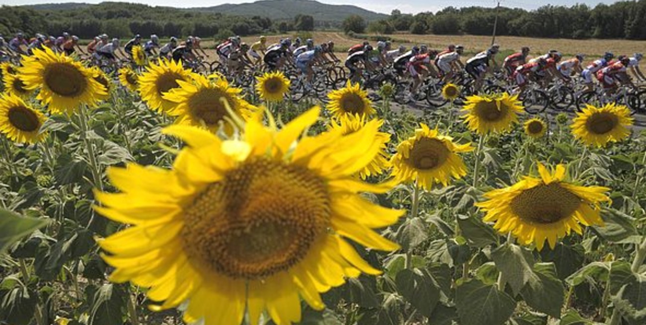 Tercera victoria de etapa para Mark Cavendish y sin variantes en la General