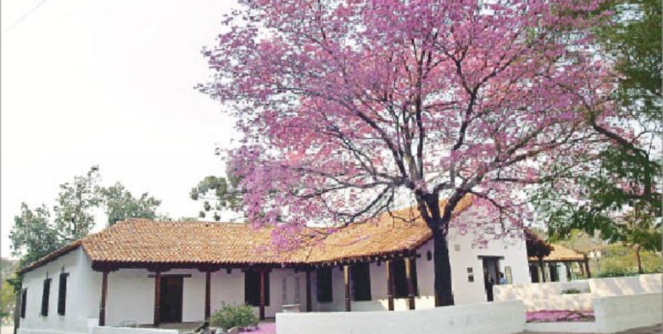  Propuestas de los museos provinciales para los días de verano