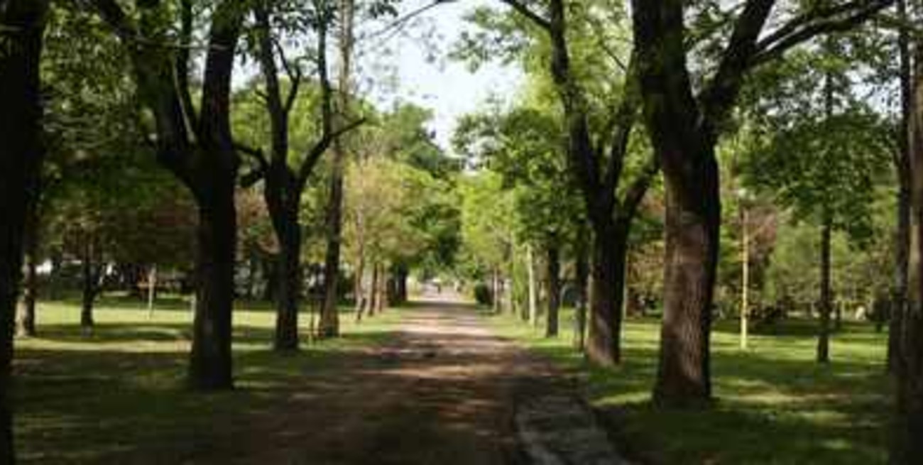 El Jardín Botánico, un lugar para encontrarse con la naturaleza