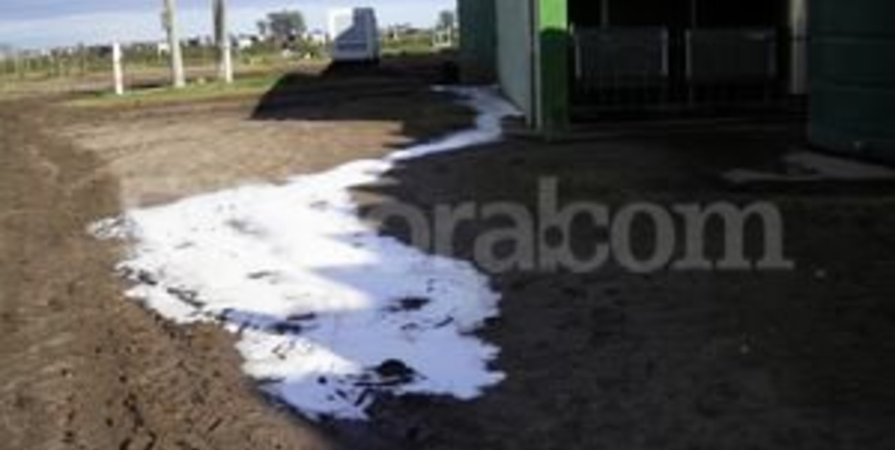 'Es una actitud condenable y mezquina tirar la leche en modo de protesta'