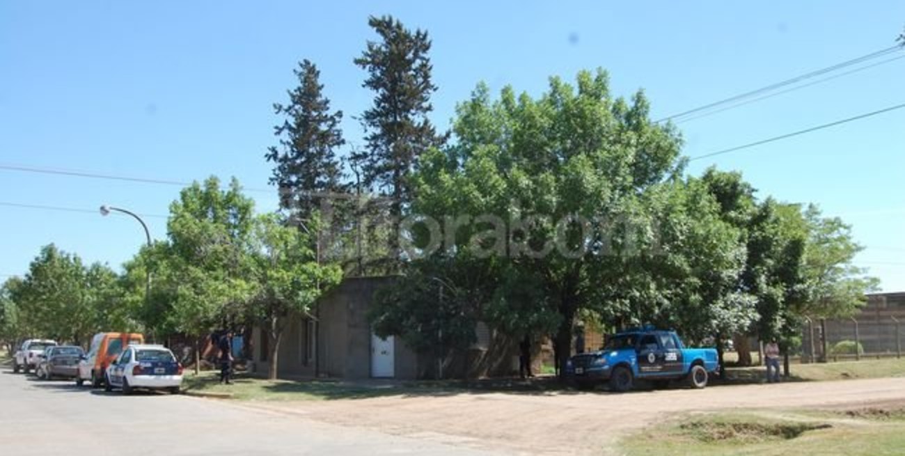 Encontraron 55 plantas de marihuana en el patio de su casa