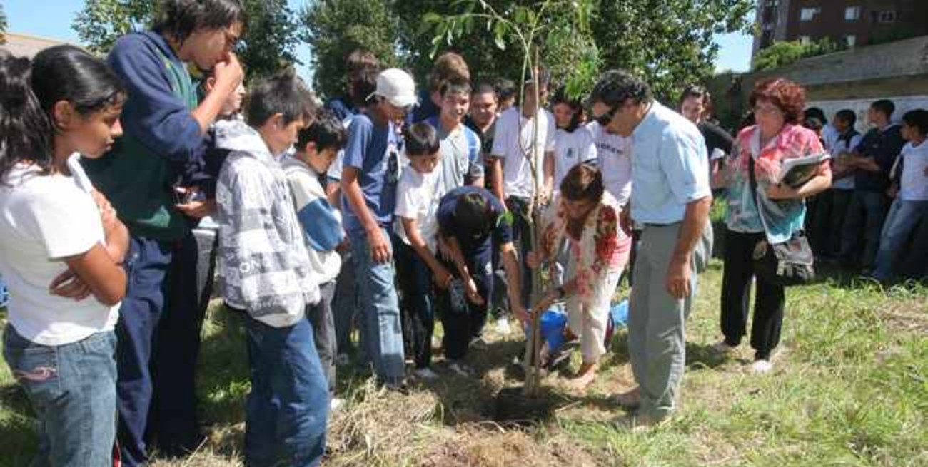 Por el Día Forestal Mundial