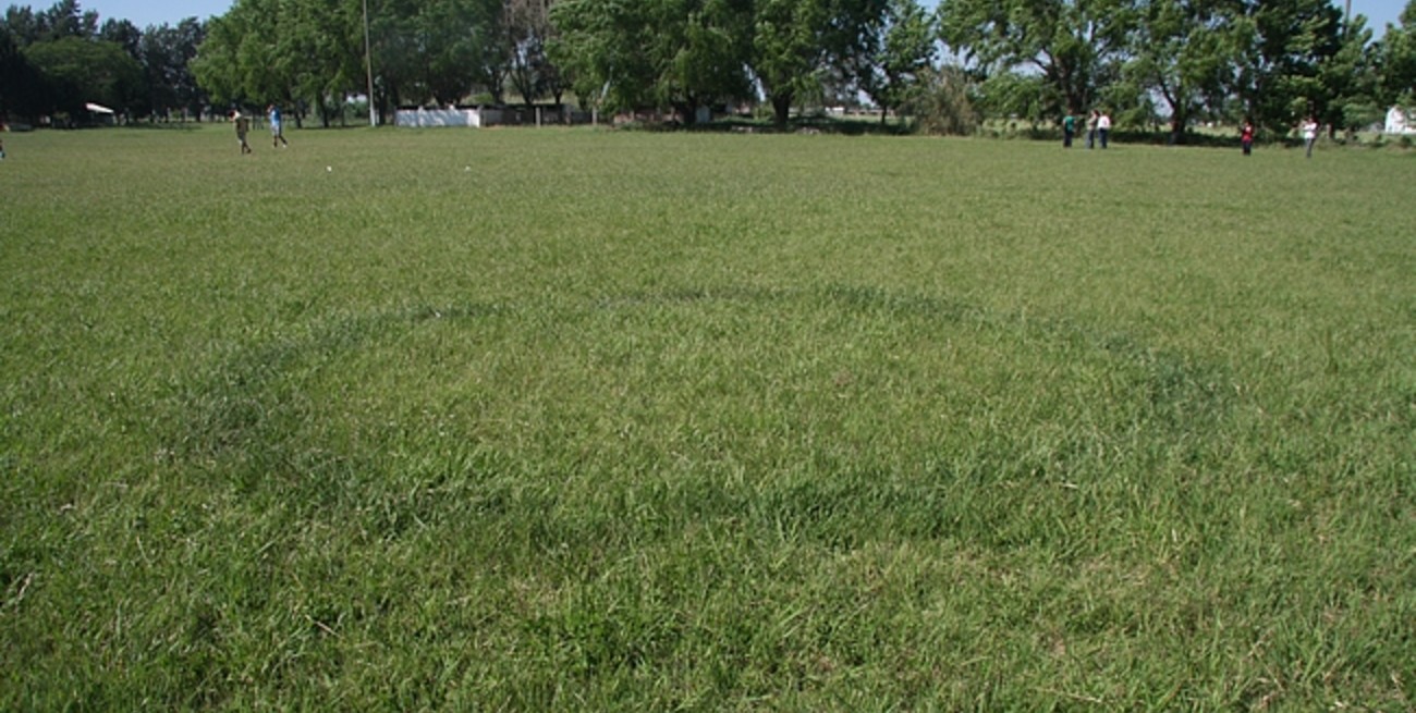 Aparecen misteriosos círculos en el césped de una escuela de Ángel Gallardo