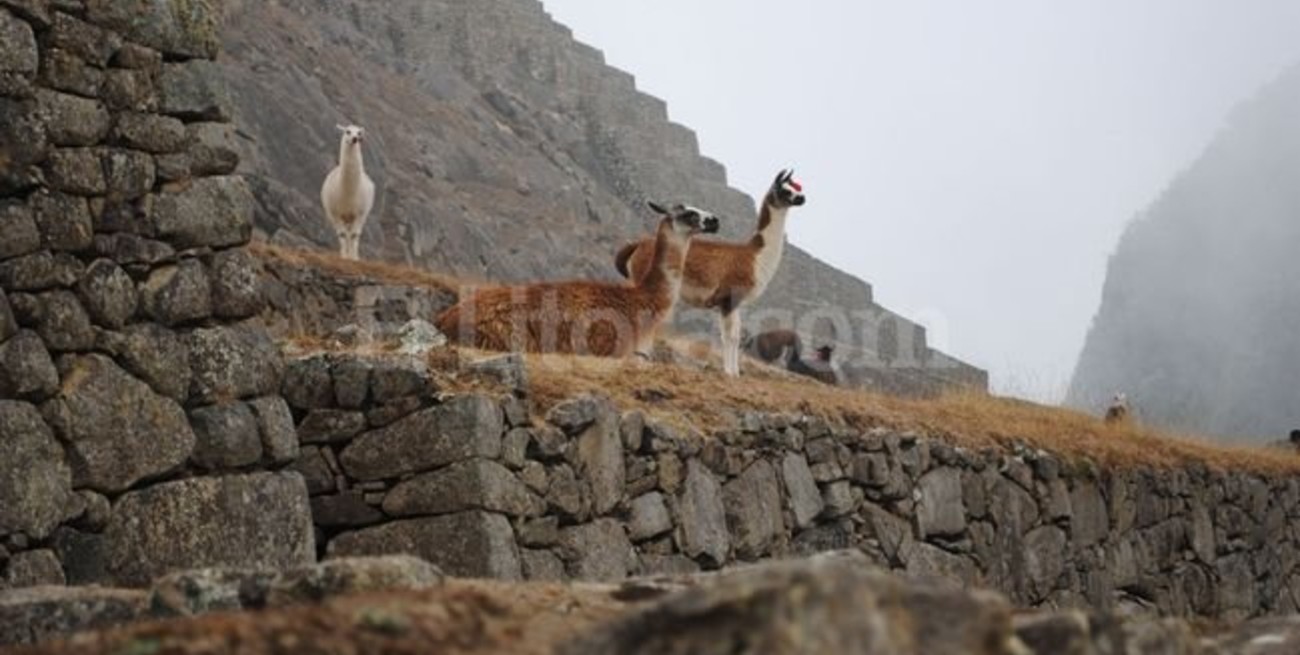 El gigante que durmió por siglos