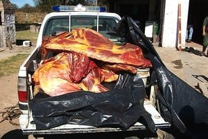 Red de Medios - Info Vera