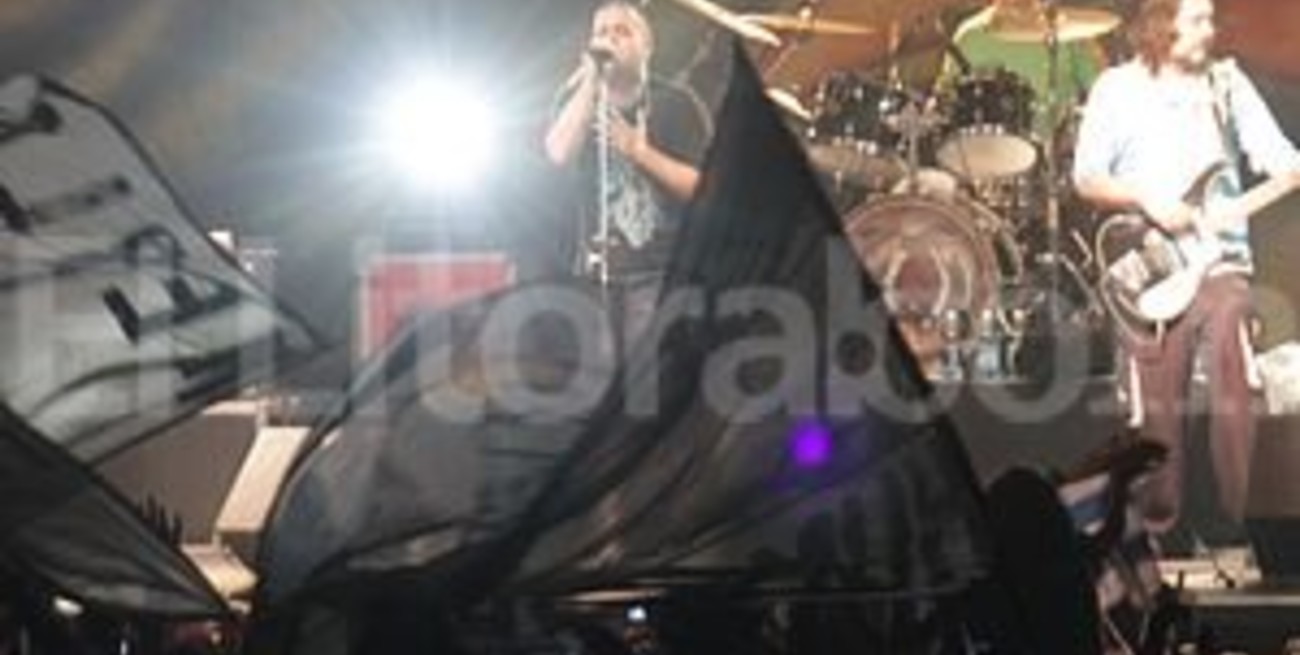 Esta ciega razón de vivir