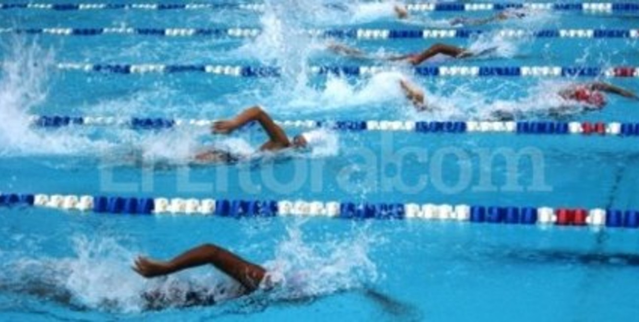 Aquí están, éstos son...