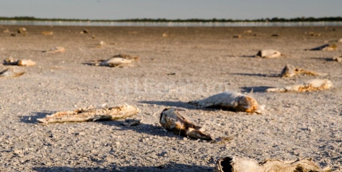 Laguna El Cristal, un desierto