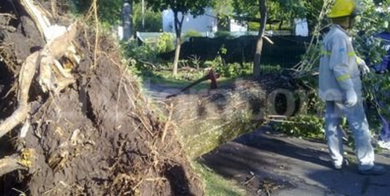 Despejan las calles de Rafaela tras el temporal