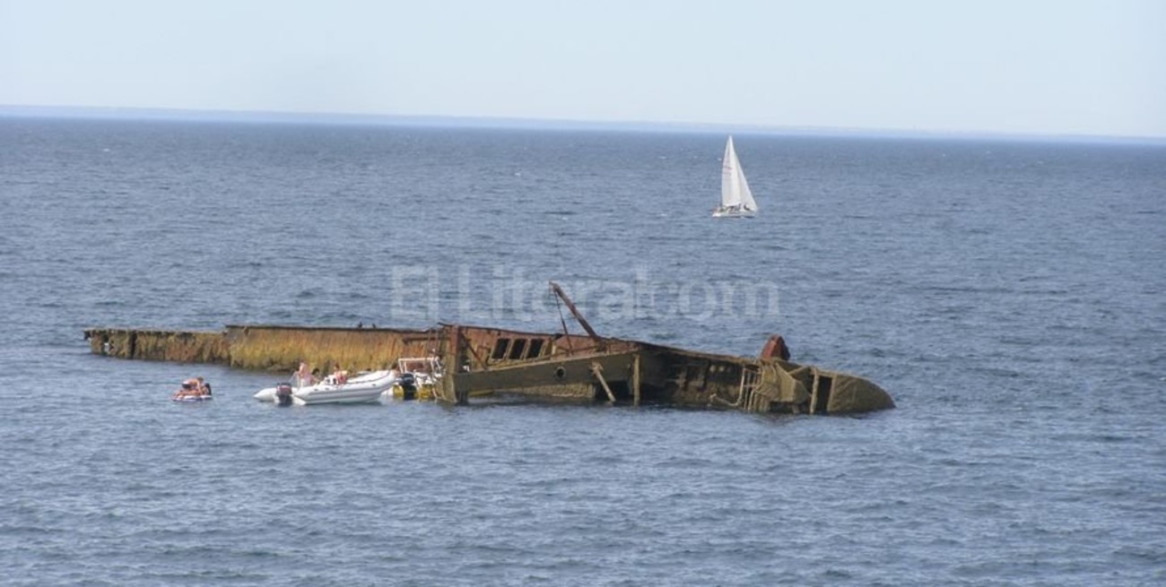 Los encantos naturales de Puerto Madryn.