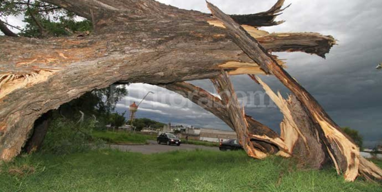"Lo que el viento se dejó"