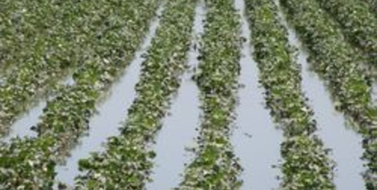 El norte, afectado por las intensas lluvias