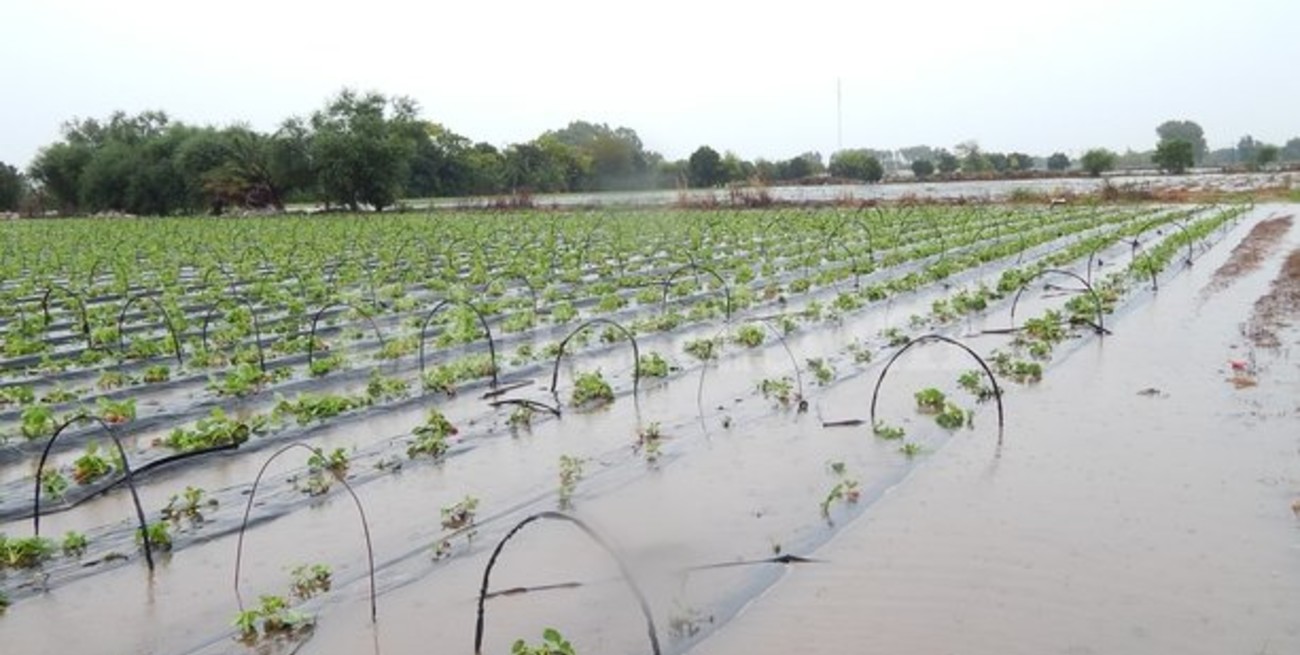 Rutas cortadas, campos anegados y evacuados: las secuelas de la lluvia