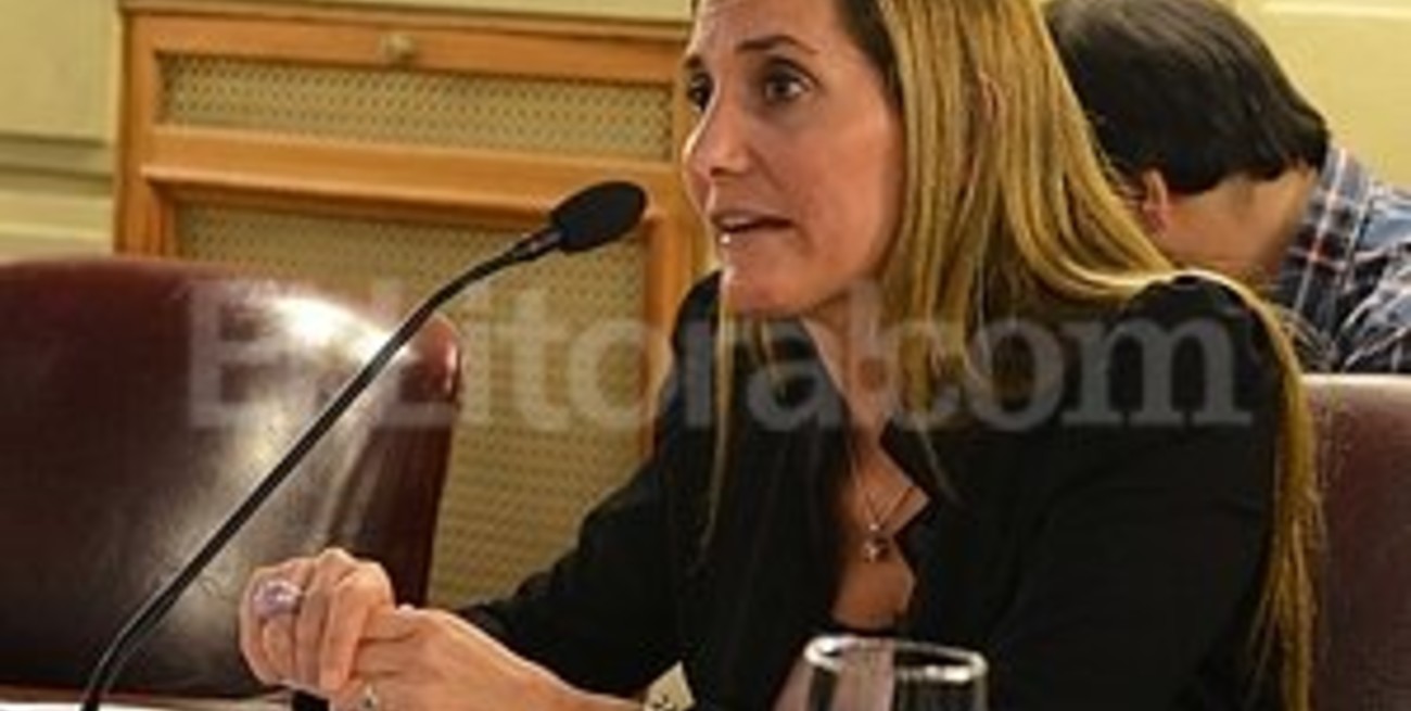 Aeberhard: "En seis años, sólo se ejecutó el 62% de obra pública"
