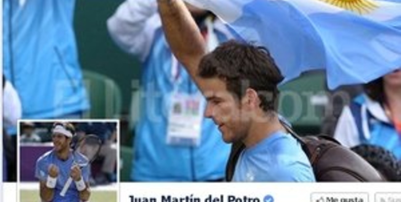 Del Potro: "Les prometo que seguiré luchando como siempre"