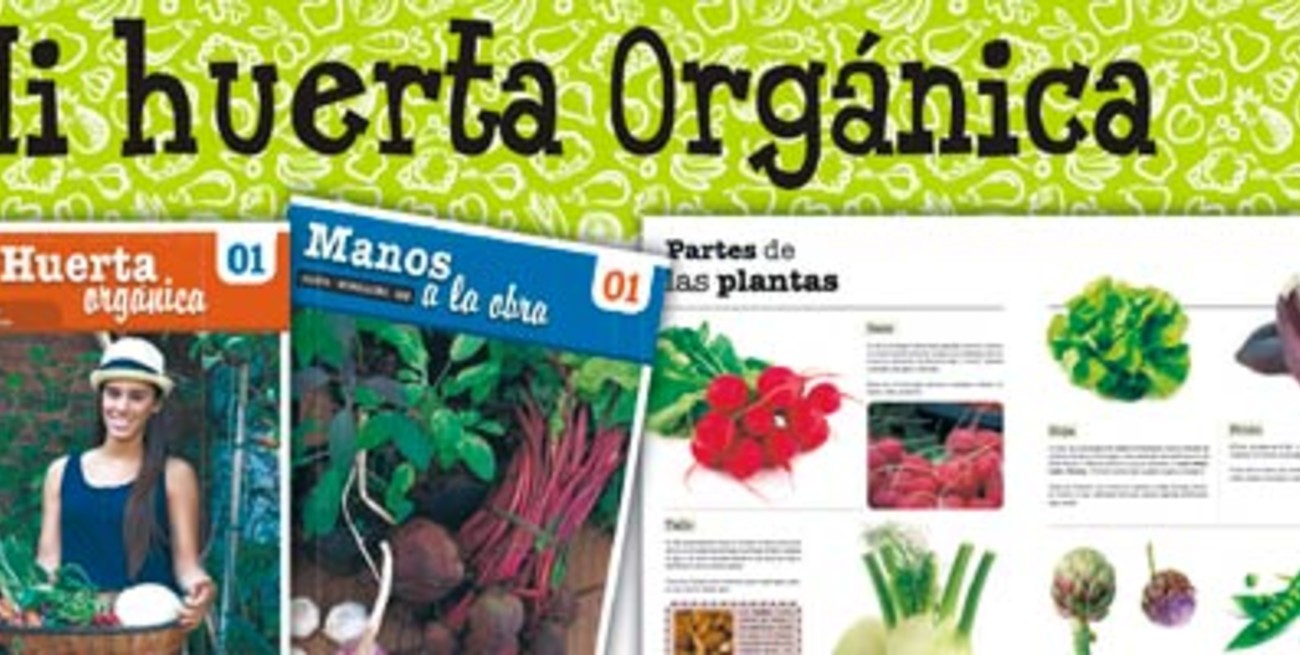 Hoy sale `Mi huerta Orgánica´