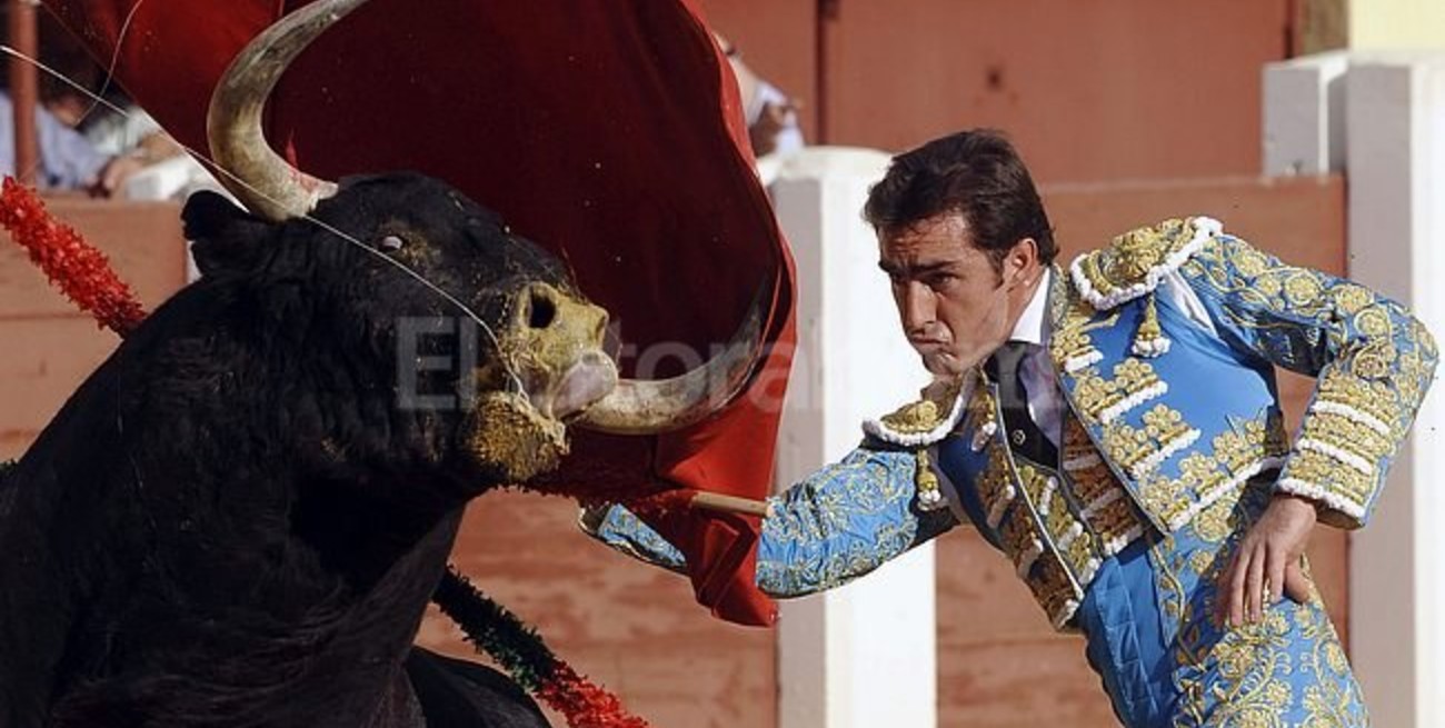 Debate en Francia por la tauromaquia