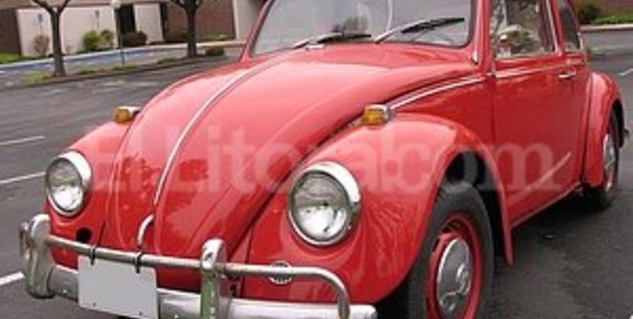 "Día Mundial del Escarabajo"