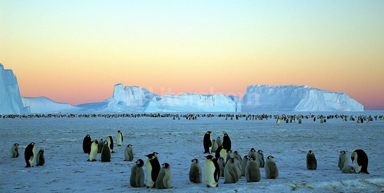 Antártida: encontraron el hielo más antiguo del mundo