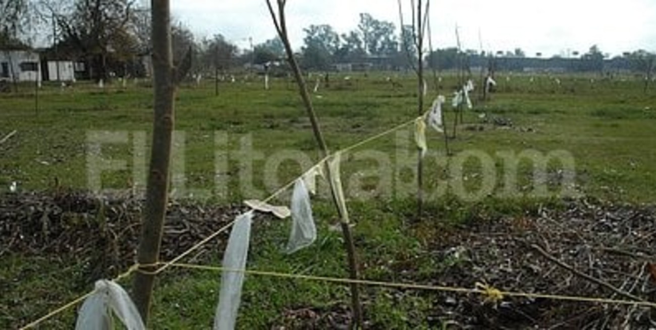 Vecinos de barrio Sarmiento se repartieron una manzana