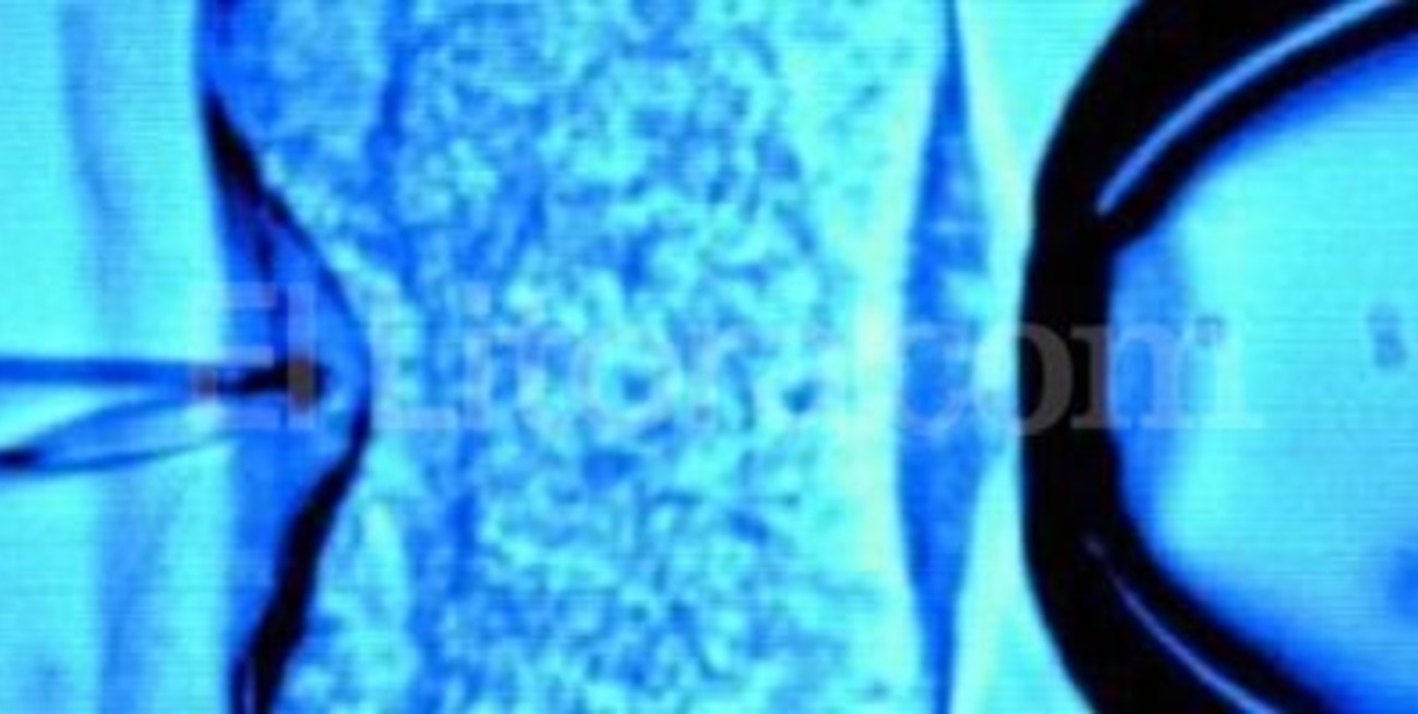 Fertilización asistida: autorizaron a tres centros médicos de Rosario