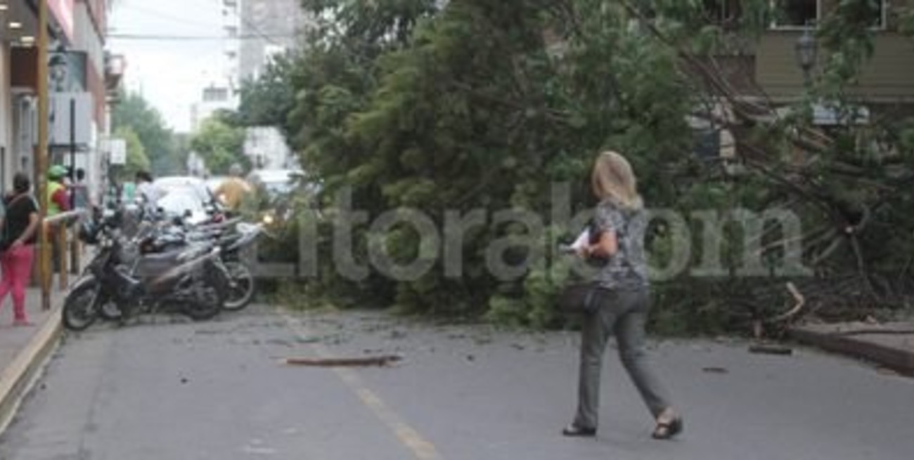 Consecuencias del temporal en la ciudad
