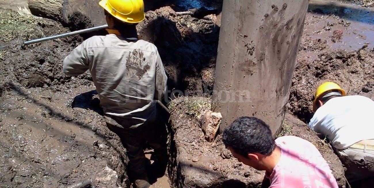 Reconocimiento del directorio de la EPE al personal por su labor en la contingencia