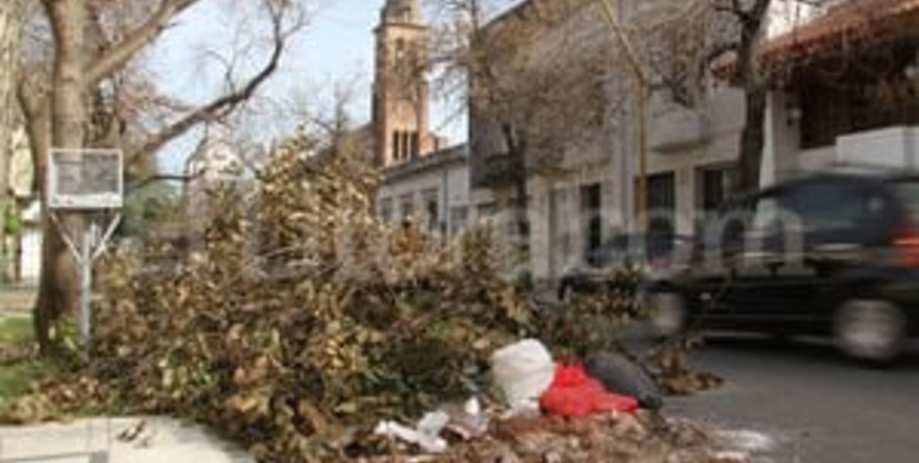 Nuevos días para recolectar restos de poda y escombros