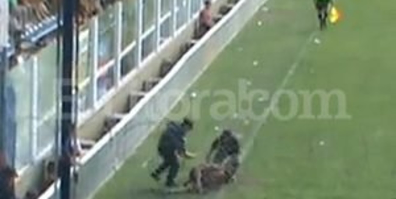 El loco de los techos se tiró a la cancha