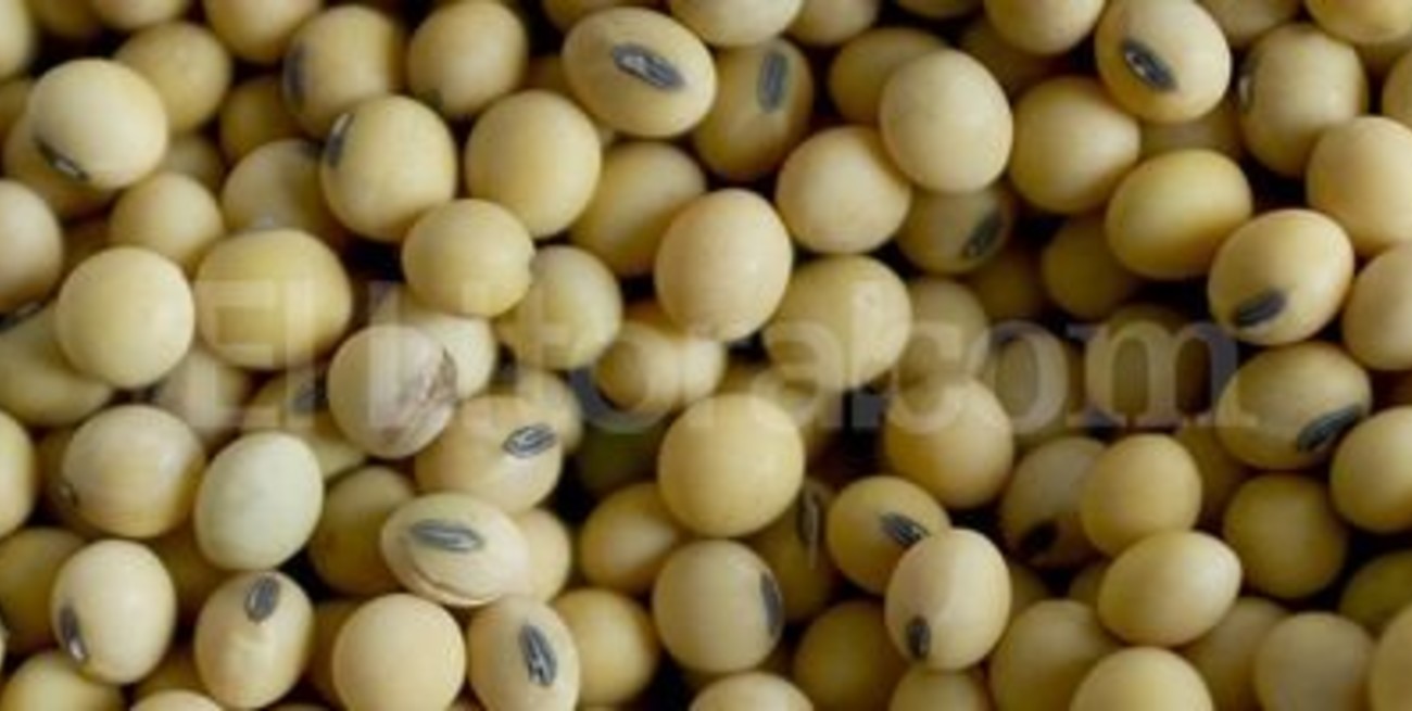 La soja rozó los dos mil pesos en Rosario