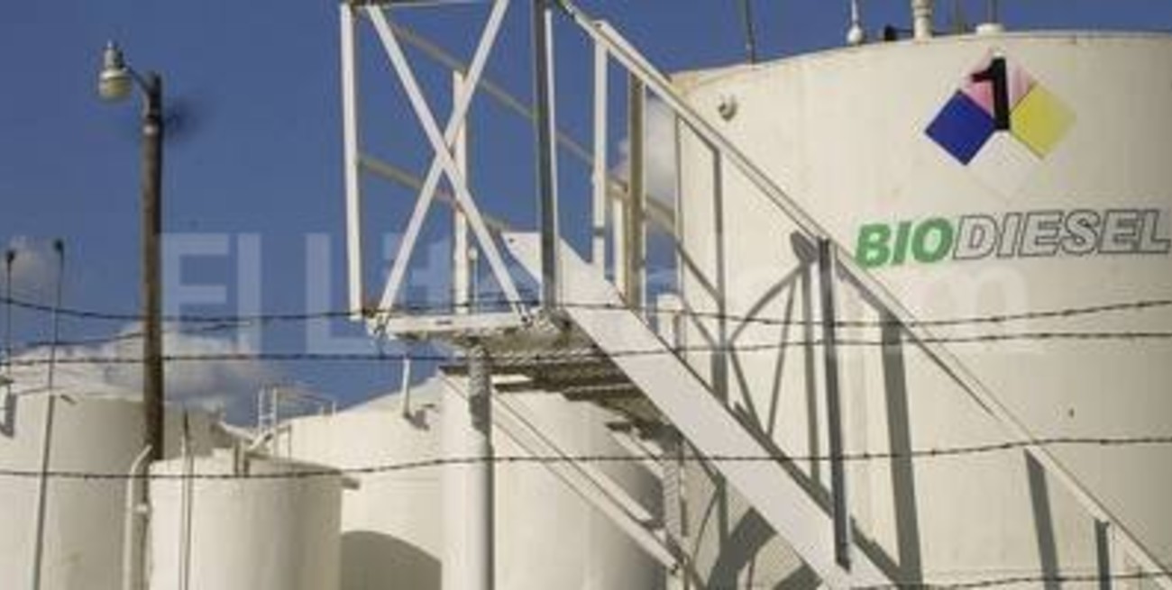 Biodiésel: un presente complicado y un futuro lleno de incertidumbre