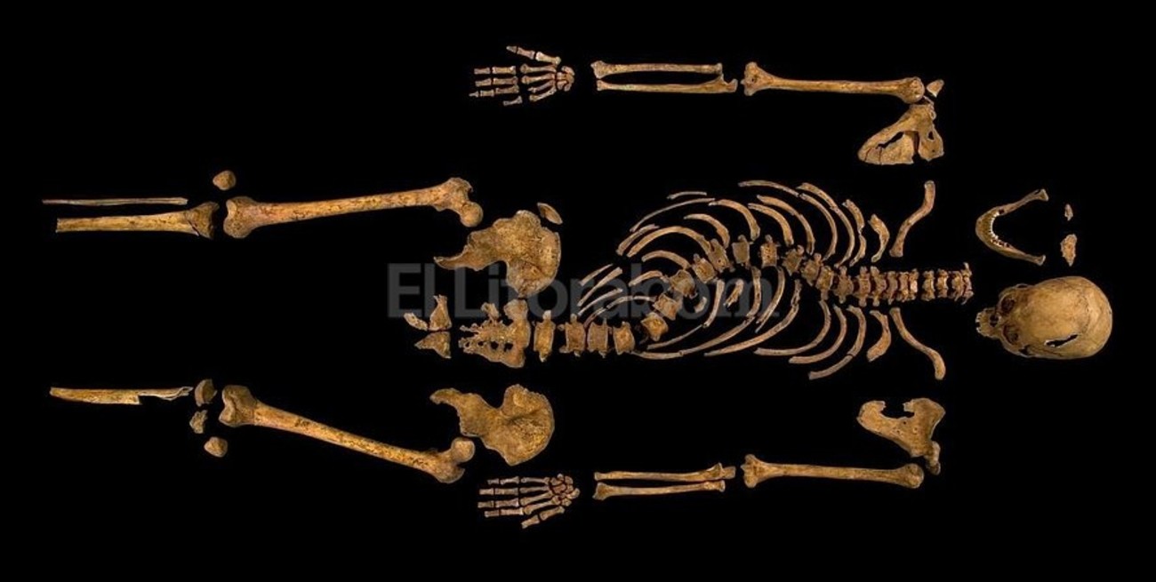 Encontraron los restos de Ricardo III