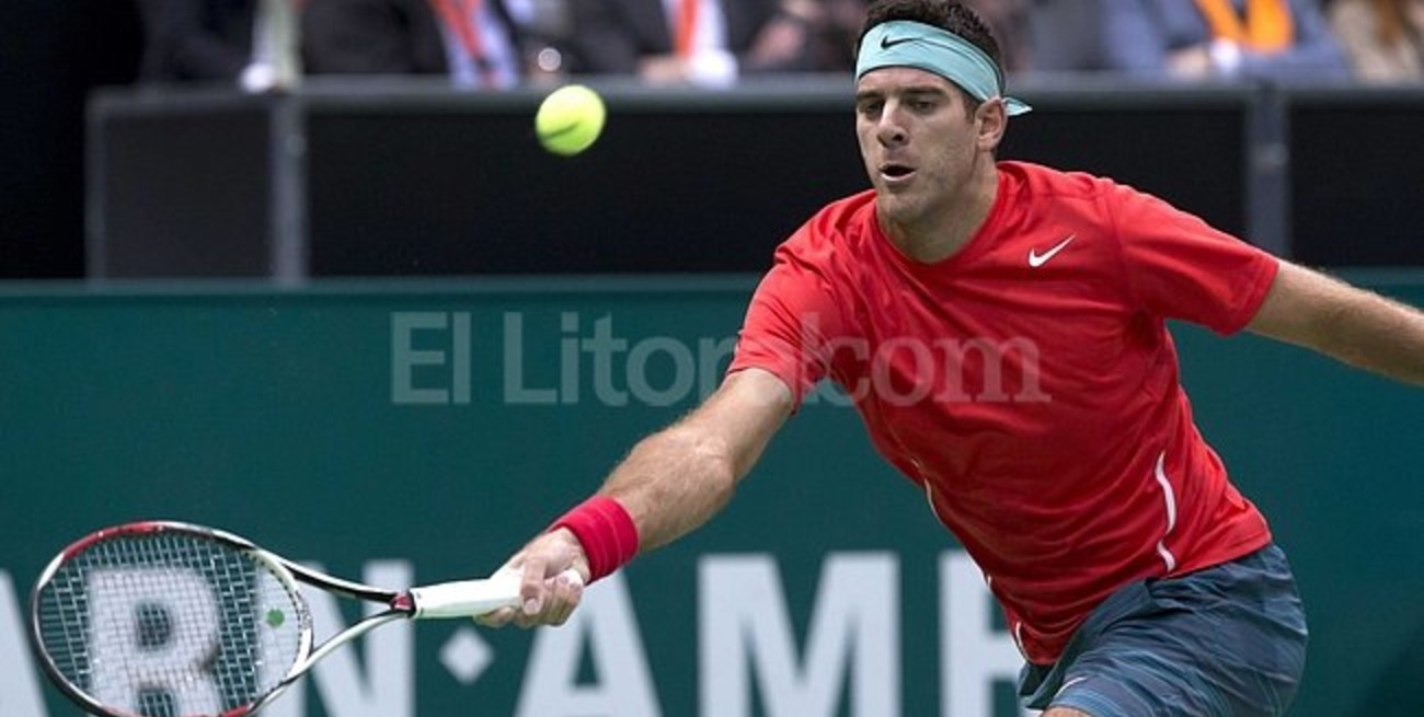 Del Potro avanza en el Abierto de Rotterdam