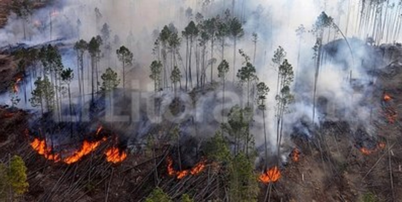 Córdoba sufre "el peor incendio que se recuerde"
