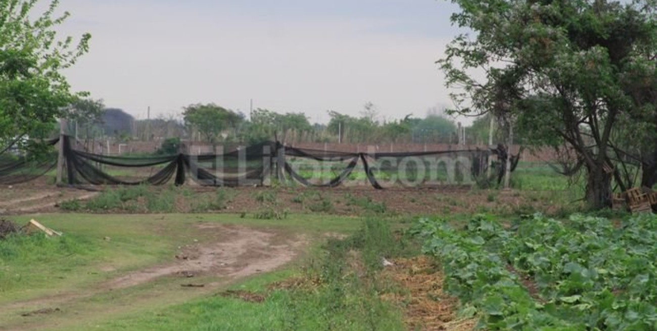 En la zona de quintas, los daños fueron moderados