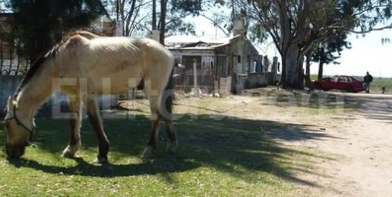 Costa Azul y Costa Dorada: entre los countries y el río