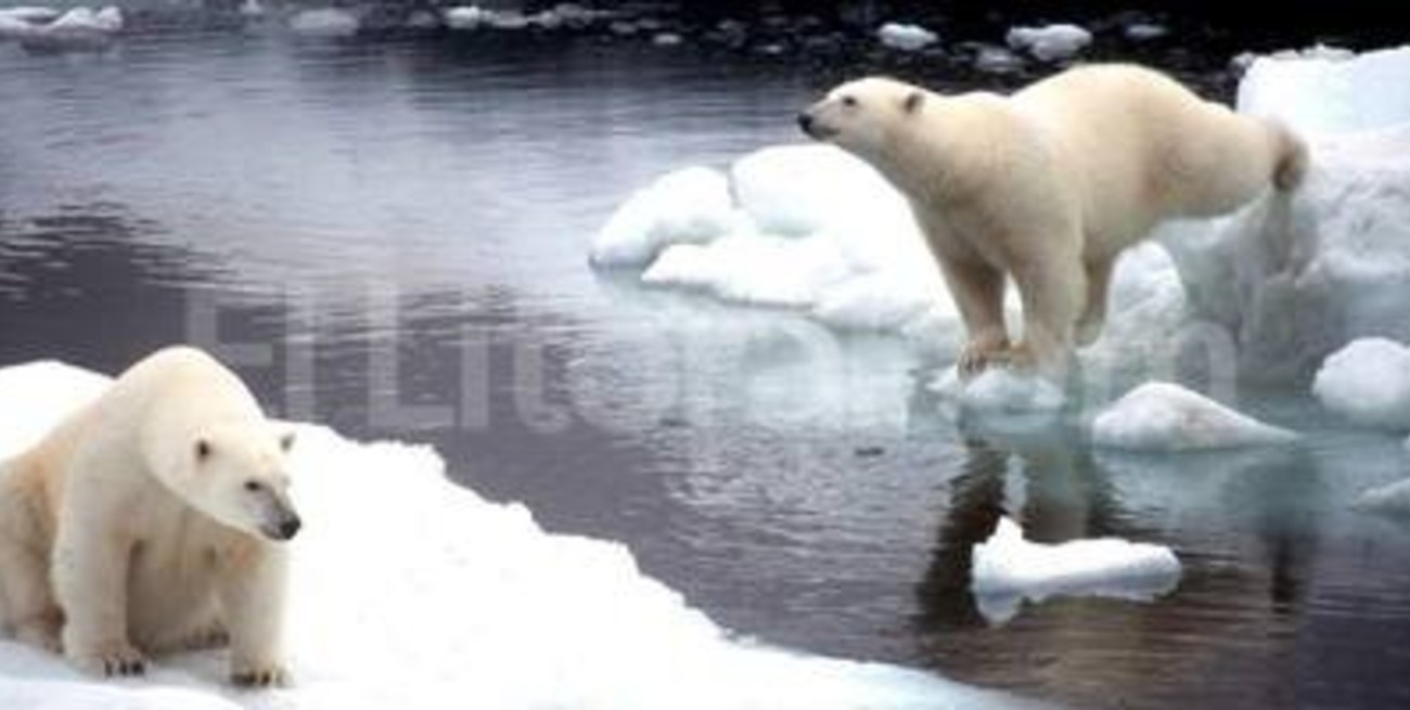Las altas temperaturas del Atlántico son causa del deshielo en la Antártida 