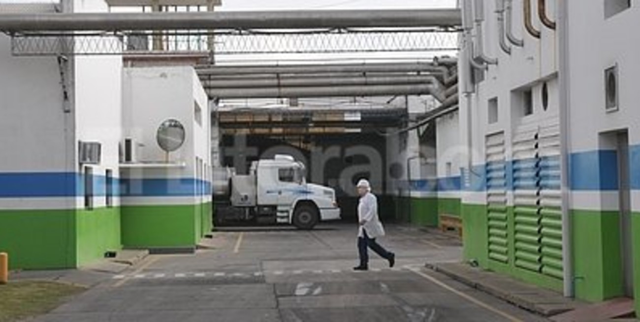 Milkaut invertirá $ 30 millones