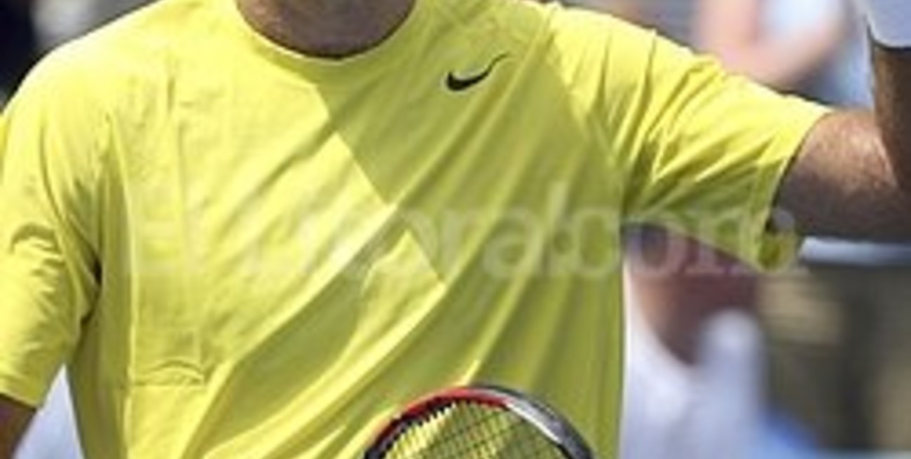 Pese a las molestias físicas, Del Potro accedió a las semifinales de Cincinnati