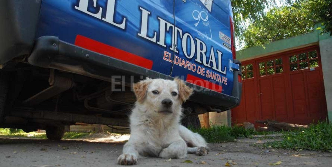 El populoso Los Troncos