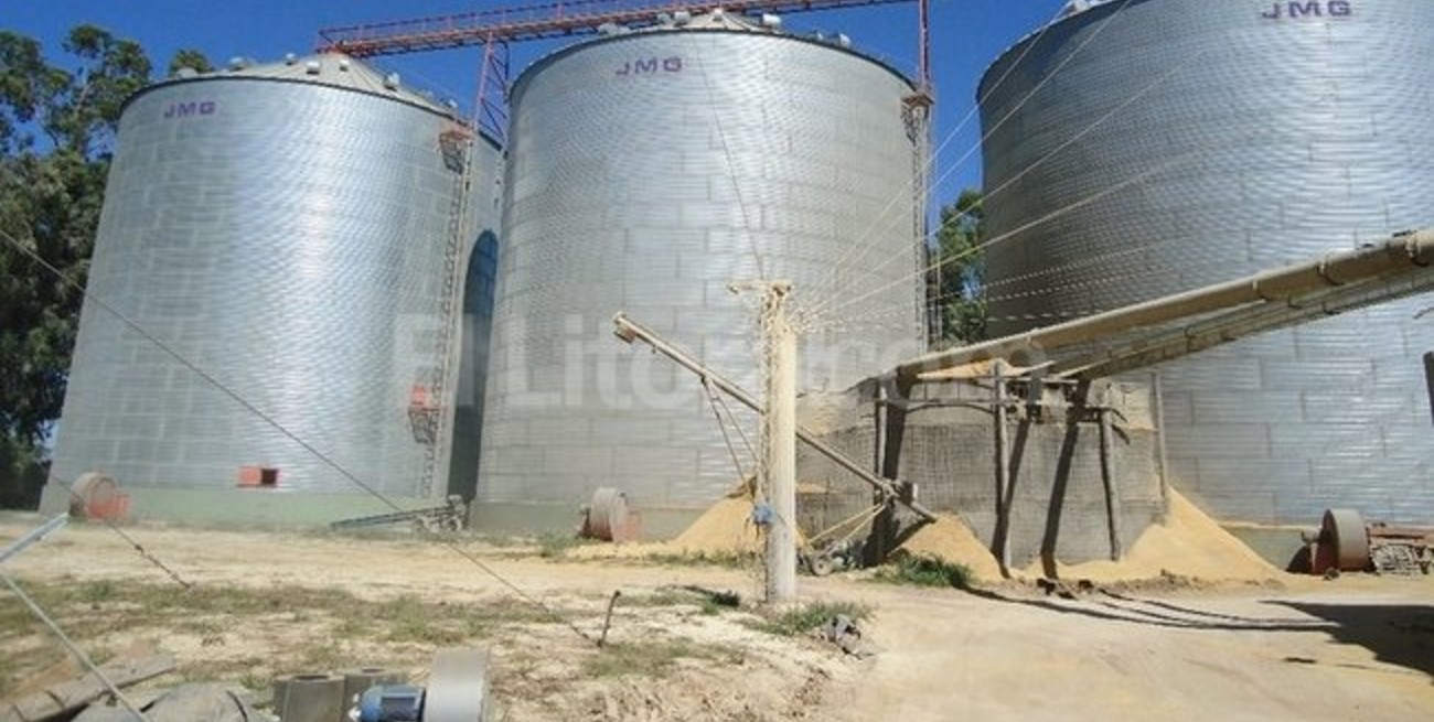 El gobierno creó un régimen de registración de acopio de granos