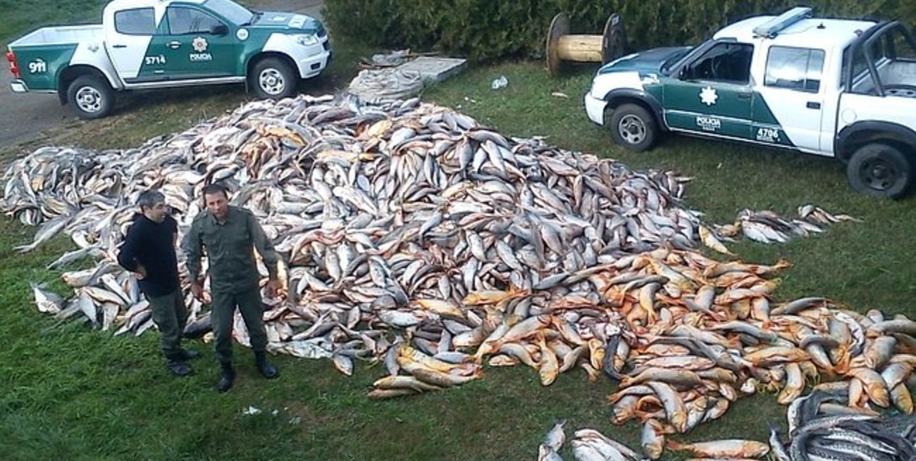 Decomisaron casi 15 toneladas de pescado