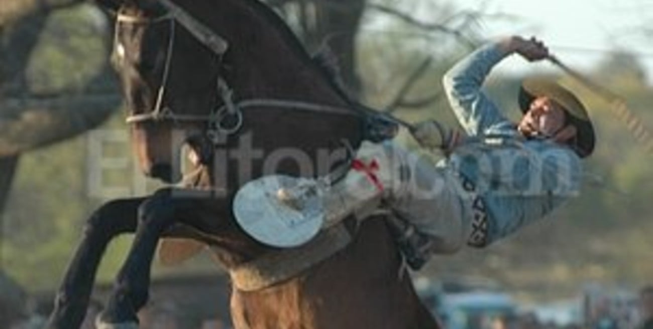 De caballos, jineteadas y supuestos malos tratos