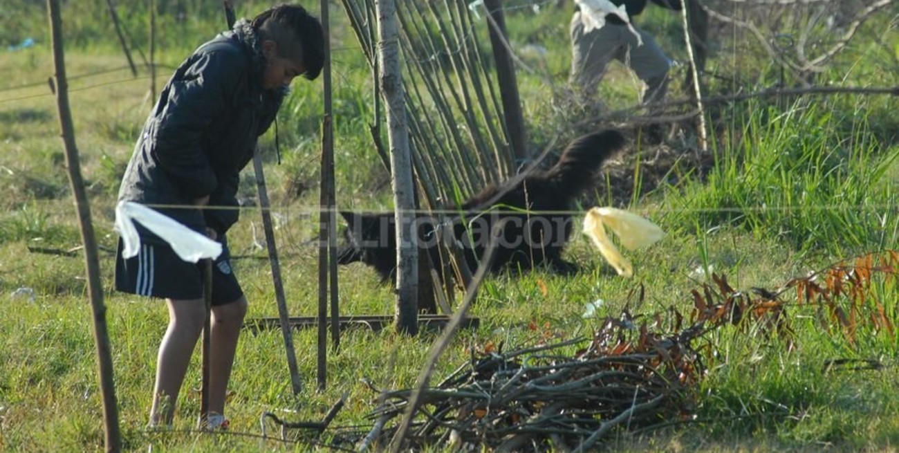 El municipio desalojó el predio usurpado pero volvieron a ocuparlo