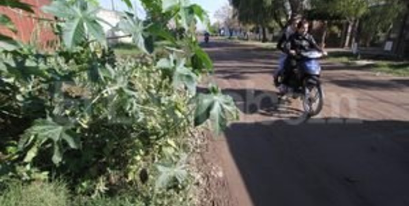 La paradoja de barrio Transporte